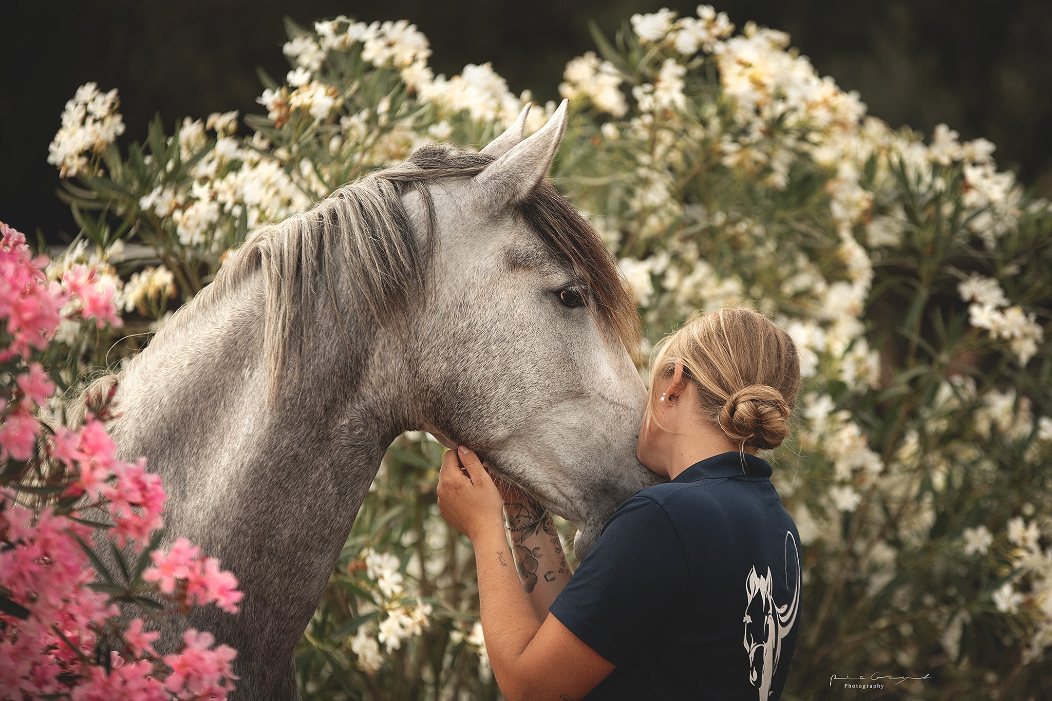 Zirzensik: Pferdetraining mit Zirkuslektionen für mehr Gesundheit und Vertrauen