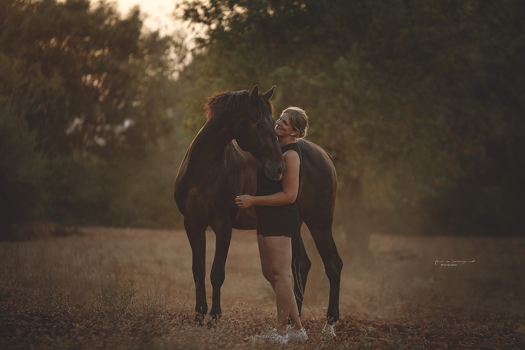 Cavaletti-Training: Der ultimative Guide für Koordination und Muskelaufbau beim Pferd