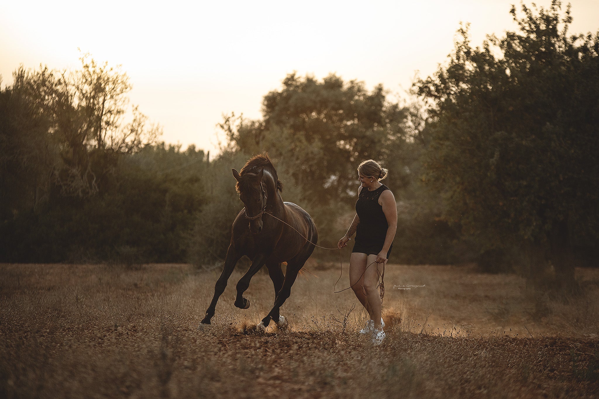 Equikinetic: Effektiver Muskelaufbau durch isometrisches Training für Pferde