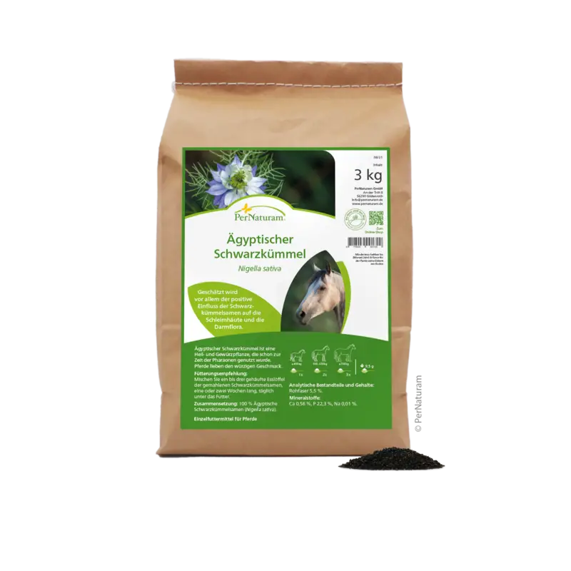 Pernaturam Ägyptischer Schwarzkümmel