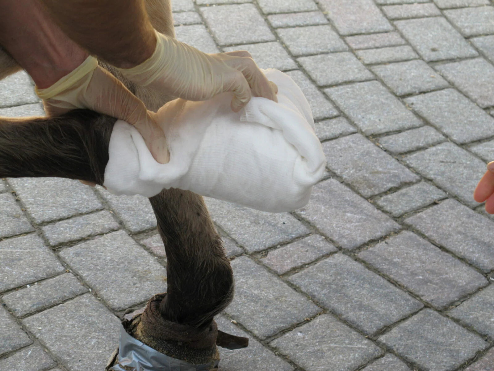 Verbandwatte im Mullumschlag CottoMull