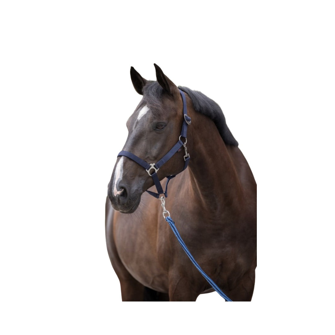 Covalliero Halfter Hippo