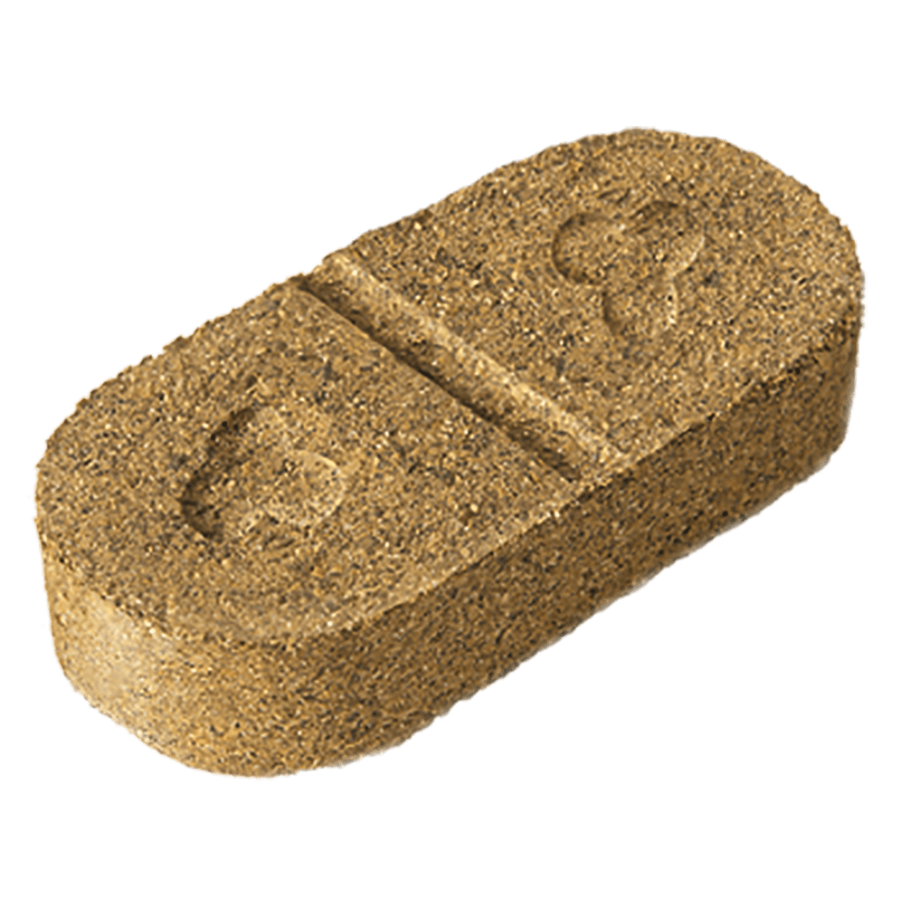 Salvastar Muskelaufbau