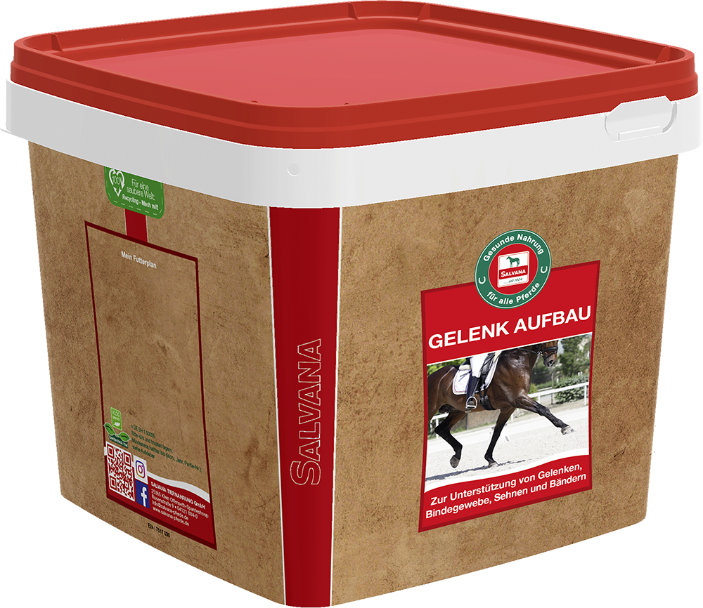 Salvana Gelenk Aufbau