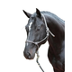 Covalliero Knotenhalfter