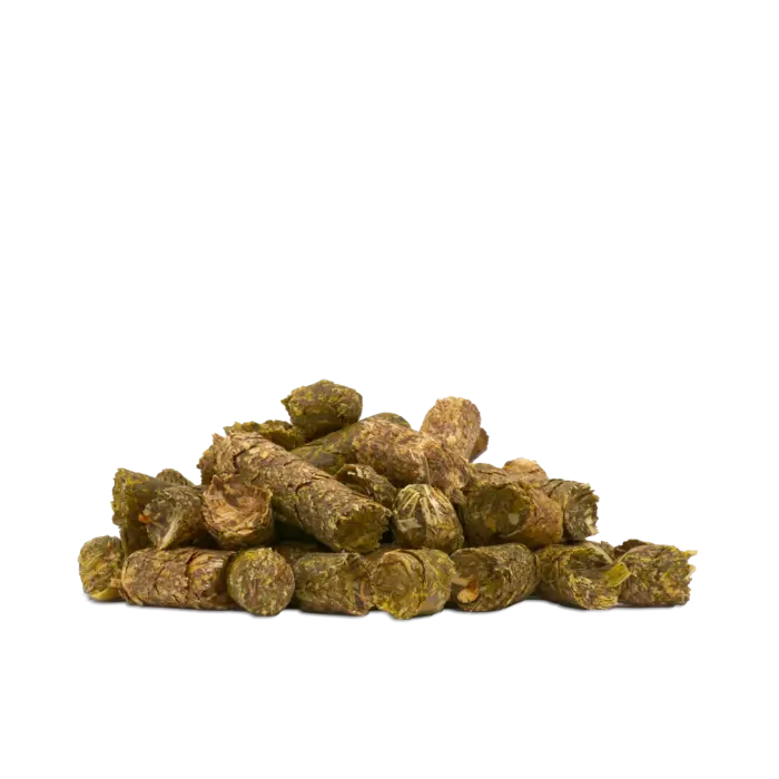 Pernaturam Esparsette