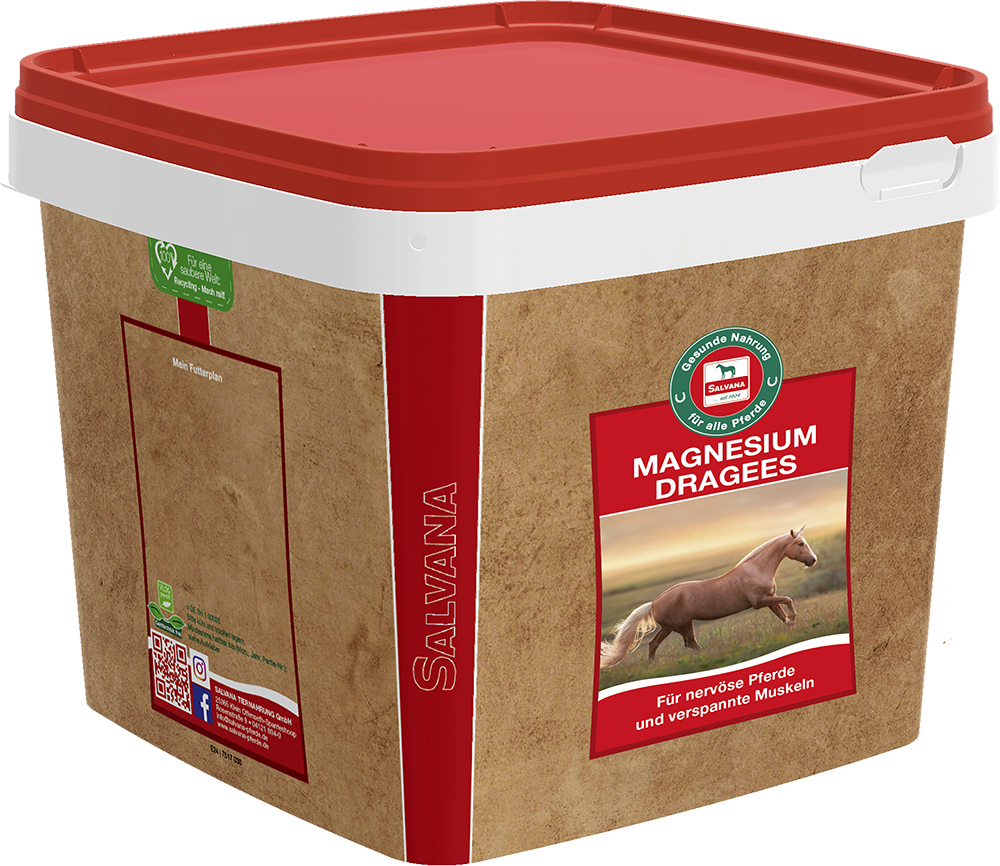 Salvana Magnesium Dragees