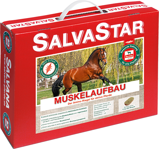 Salvastar Muskelaufbau