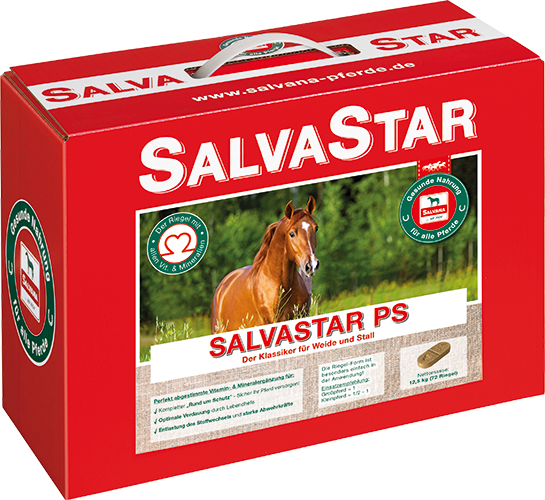 Salvastar Ps Mit Äpfeln Und Karotten