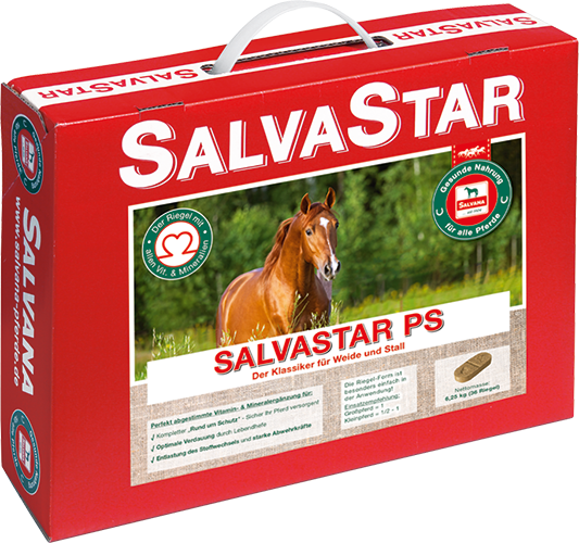 Salvastar Ps Mit Äpfeln Und Karotten