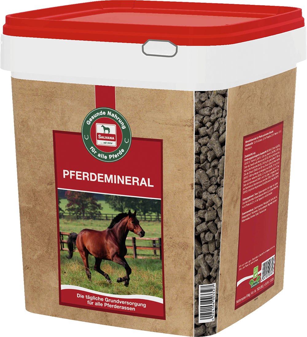 Salvana Pferdemineral