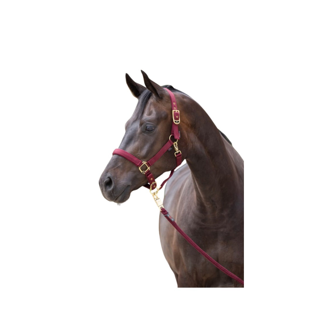 Covalliero Halfter Classy