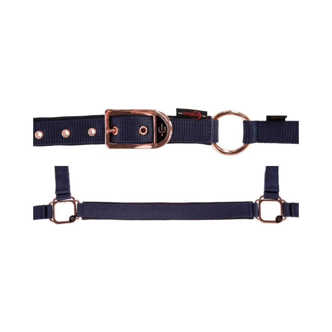 Covalliero Halfter Classy