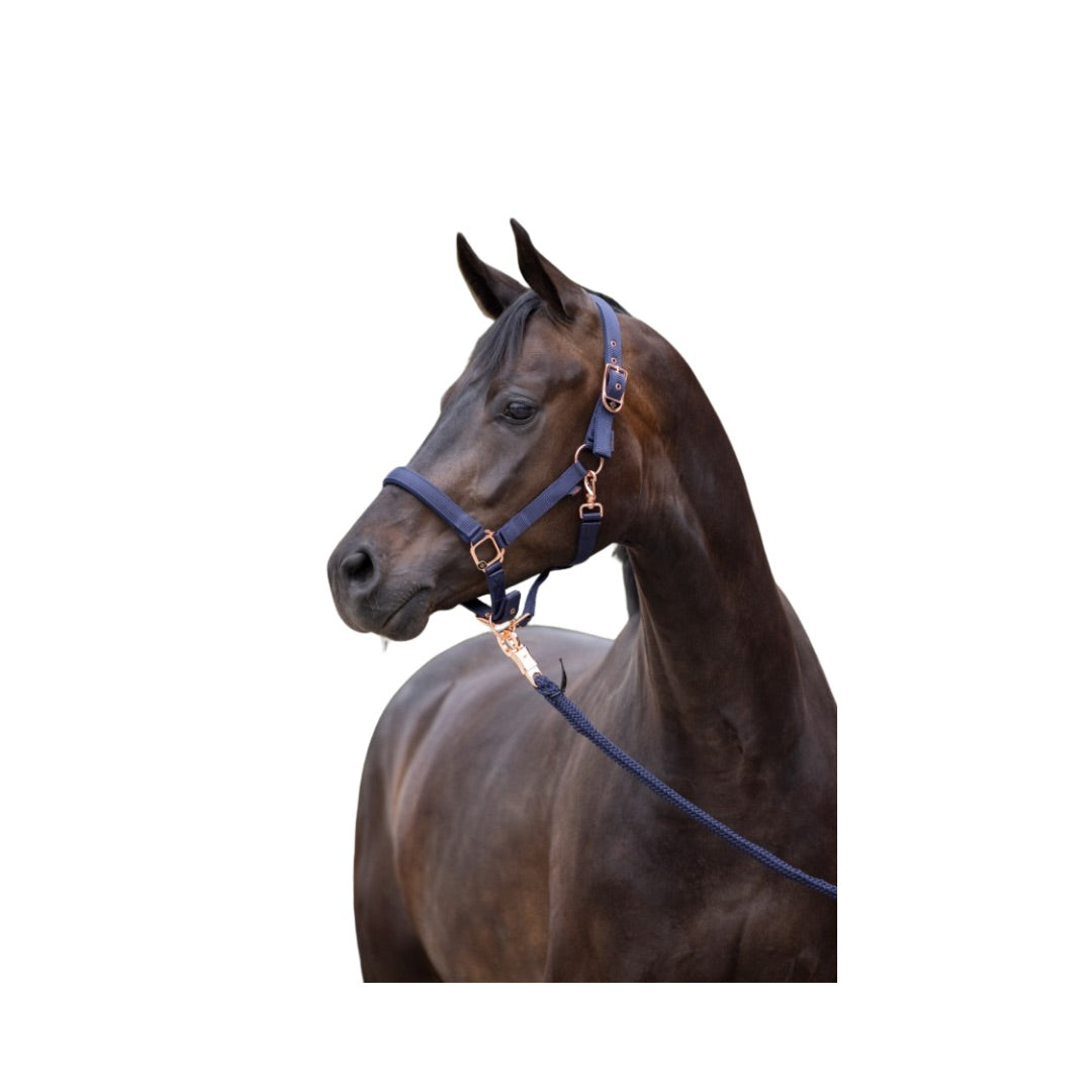 Covalliero Halfter Classy