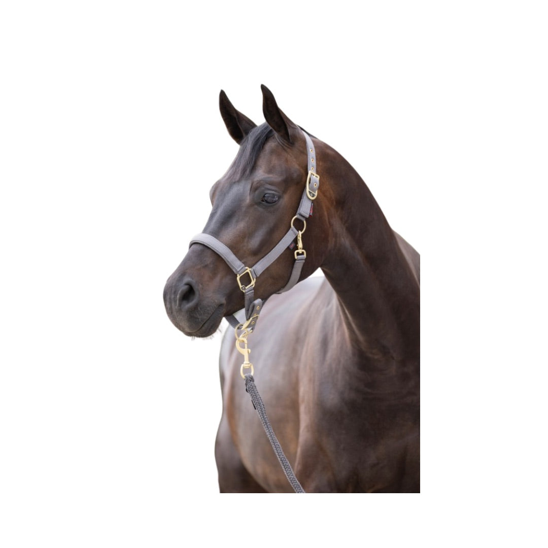 Covalliero Halfter Classy