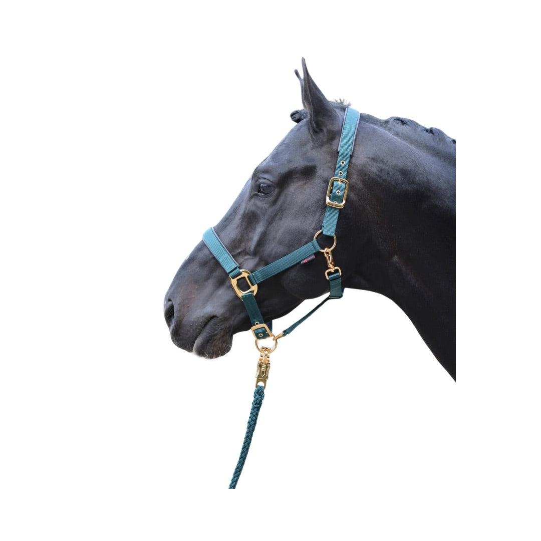 Covalliero Head Collar TopLine