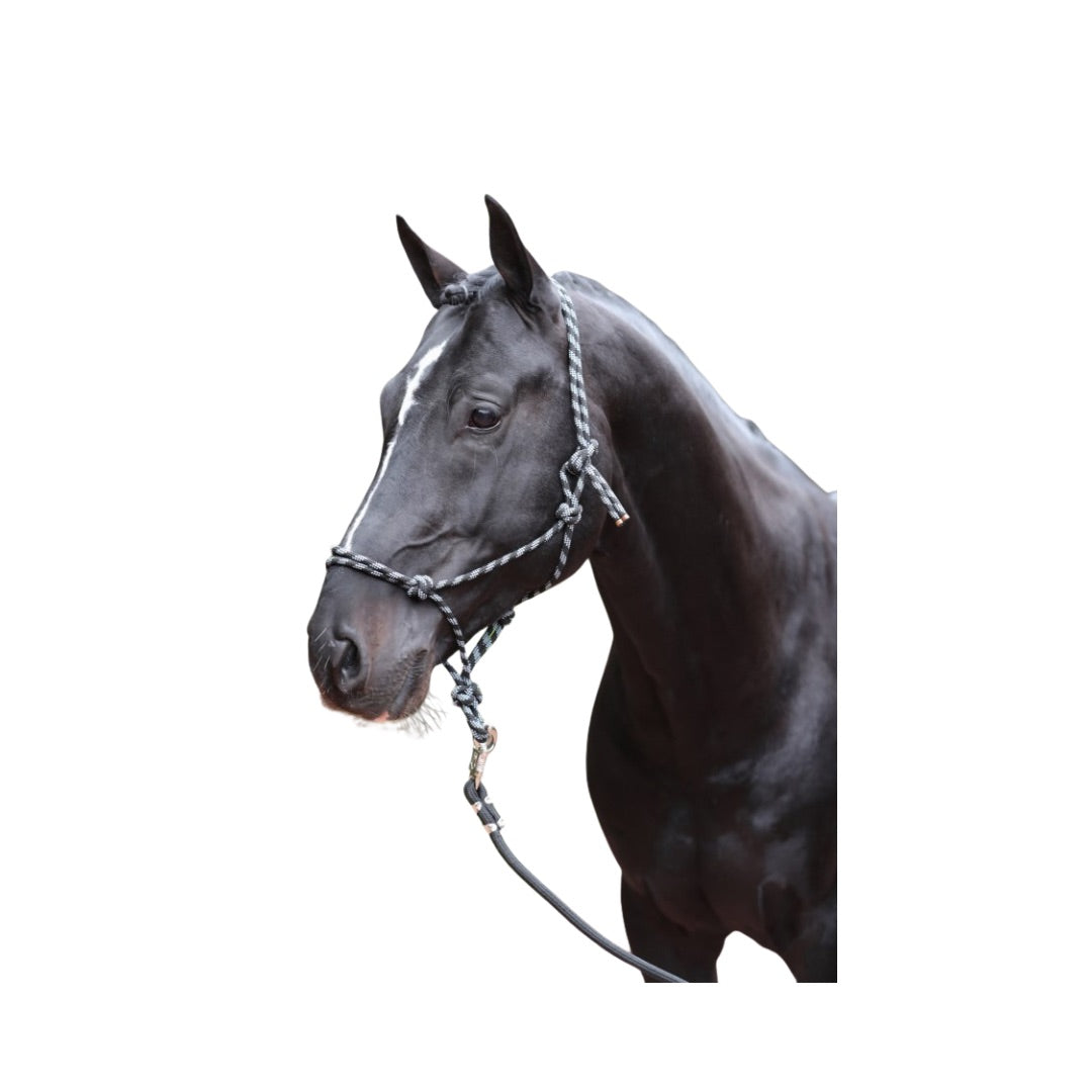 Covalliero Knotenhalfter