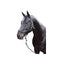 Covalliero Knotenhalfter