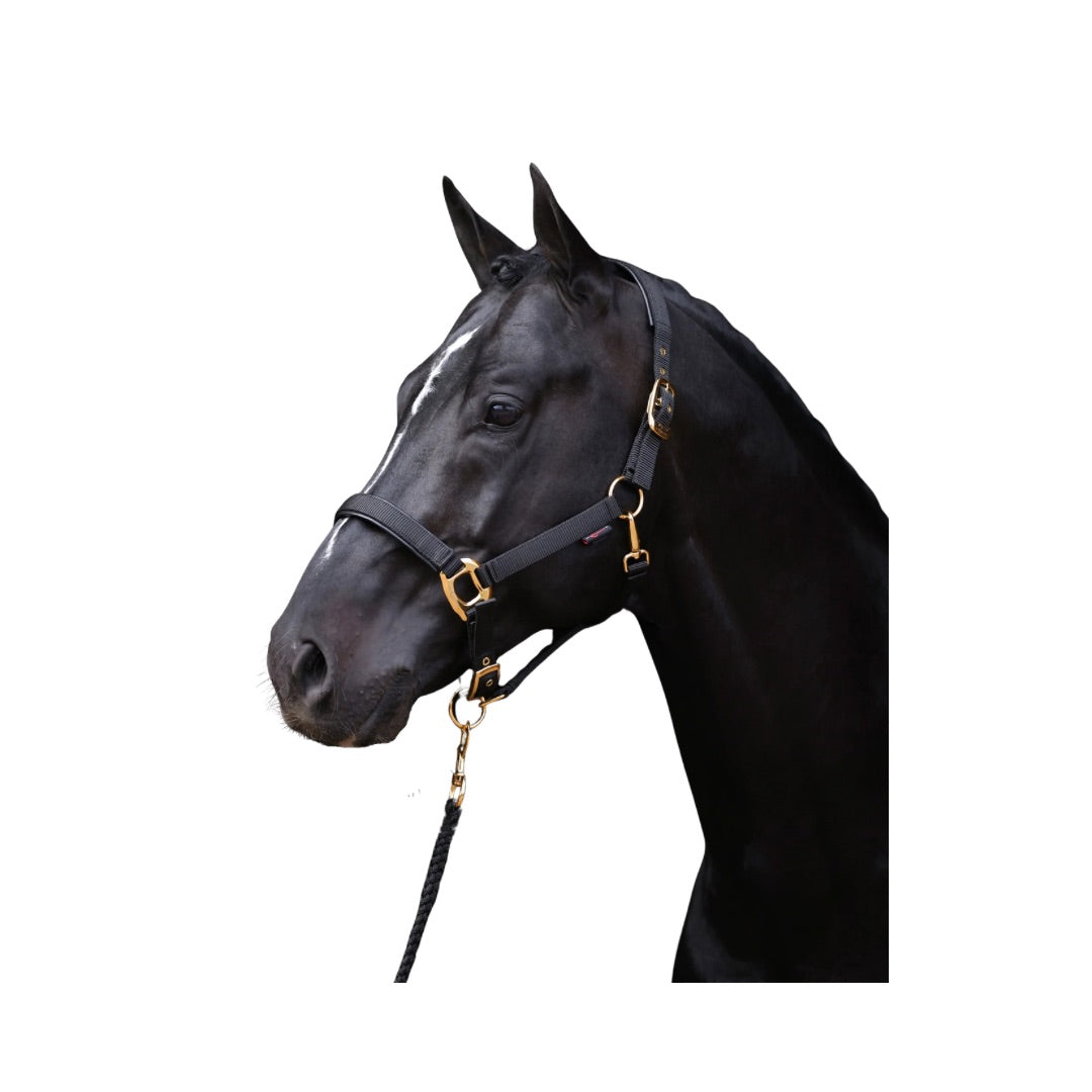 Covalliero Head Collar TopLine