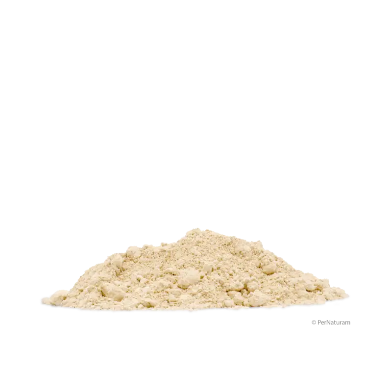 Pernaturam Equizeolon