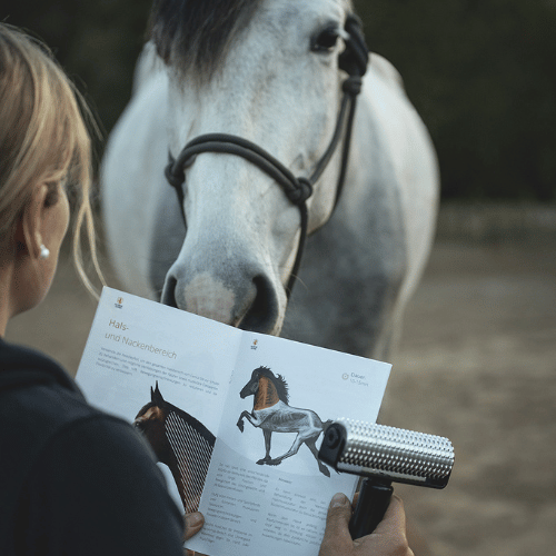 Needleyroll – Die Faszienrolle für Pferde