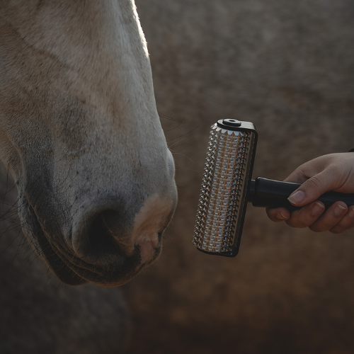 Needleyroll – Die Faszienrolle für Pferde