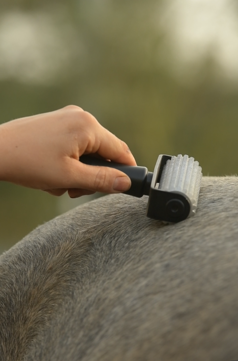 Needleyroll – Die Faszienrolle für Pferde