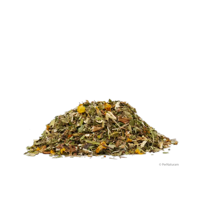 PerNaturam Bronchosan