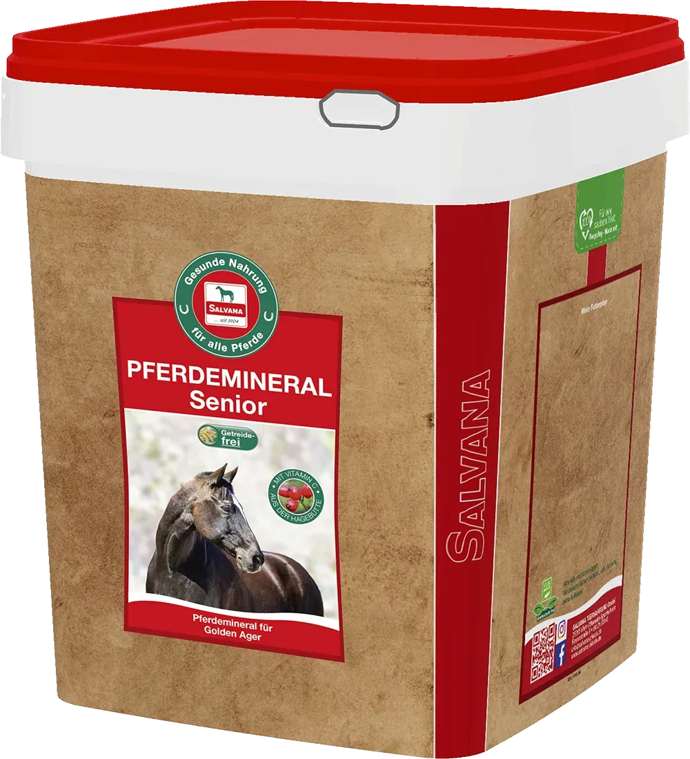 Salvana Pferdemineral Senior