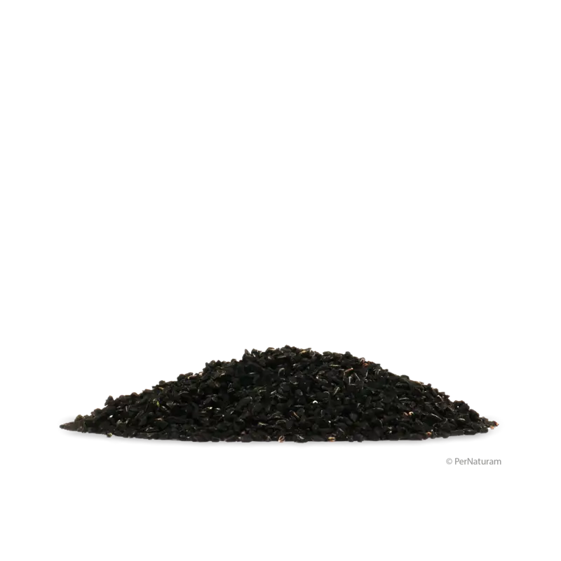 Pernaturam Ägyptischer Schwarzkümmel